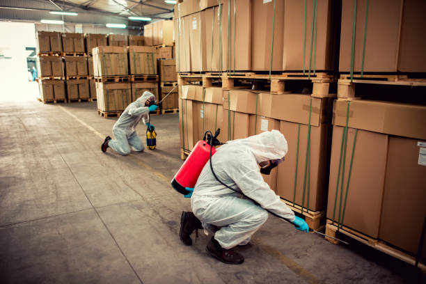 Best Exterminator Services  in Circle D Kc Estates, TX