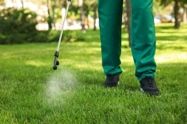 Best Pest Control Near Me  in Circle D Kc Estates, TX
