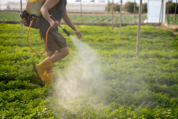 Best Wildlife Control Services  in Circle D Kc Estates, TX